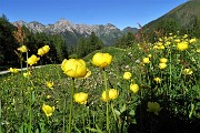Corno Stella (2620 m) con Montebello, solo, in compagnia degli stambecchi il 22 giugno 2020  - FOTOGALLERY